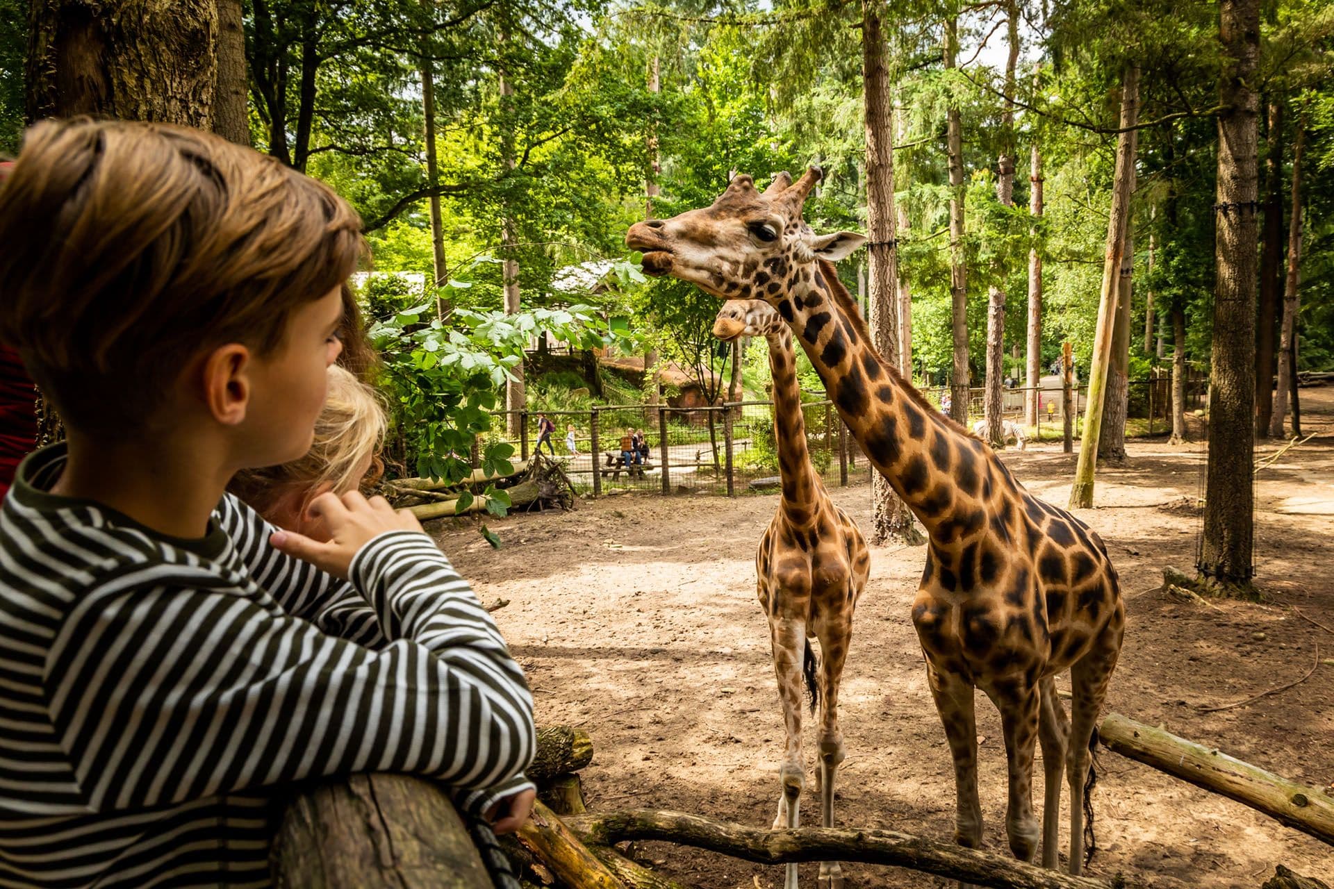 Dierenpark Amersfoort