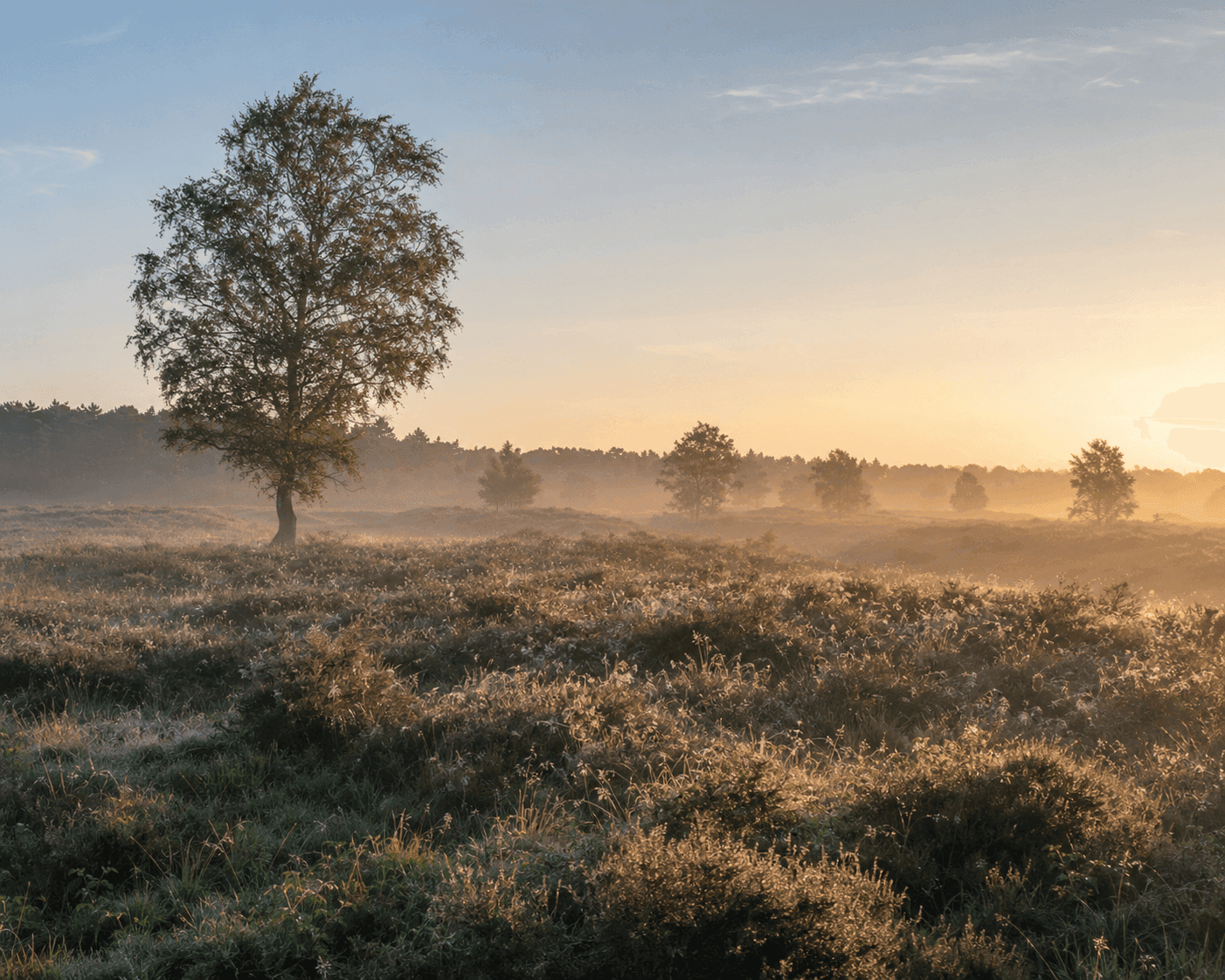 Aangelijnd struinen door Nonnenland