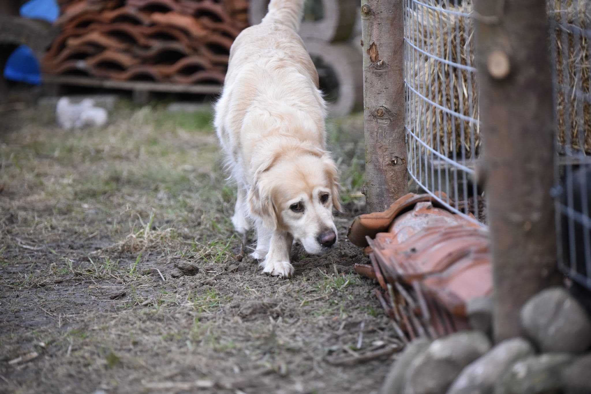 Op eigen tempo ontdekken bij Snuffeltuin Fleur