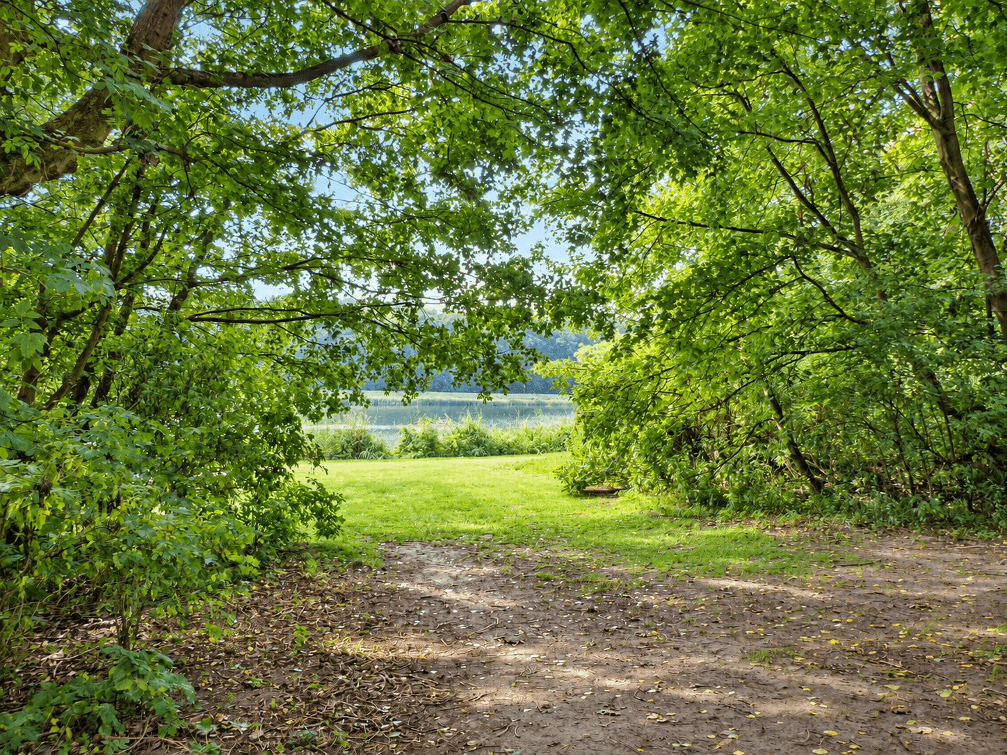 Amsterdamse Bos: loslopen en zwemmen in het grootste stadsbos