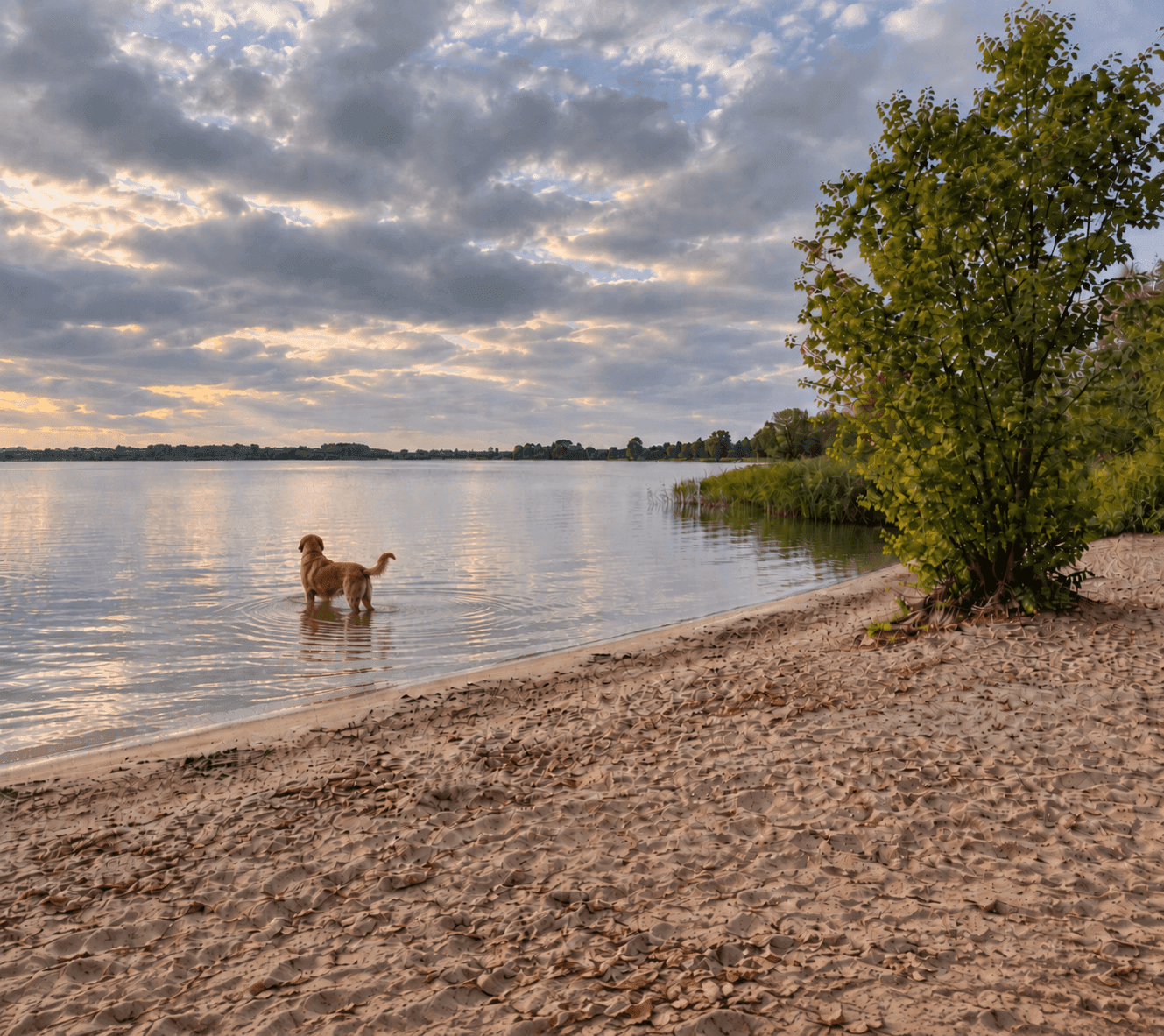 Erkemederstrand