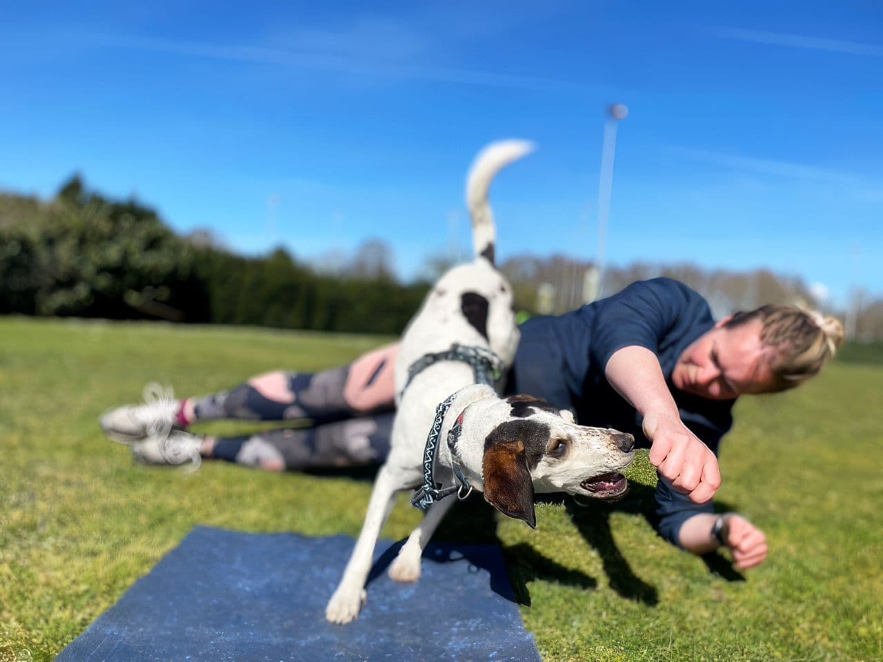 Bootcamp voor jou én je hond bij Woofcamp Breda
