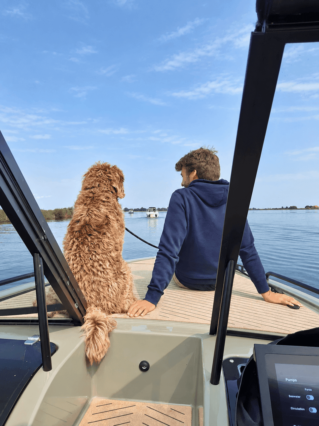 Elektrisch sloepvaren met je hond bij Natural Yachts