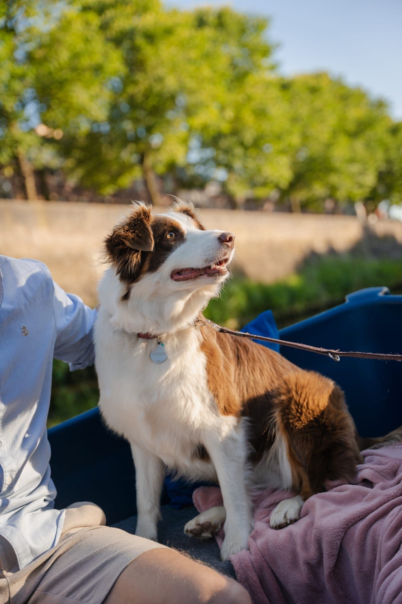 Varen door Den Bosch met je hond