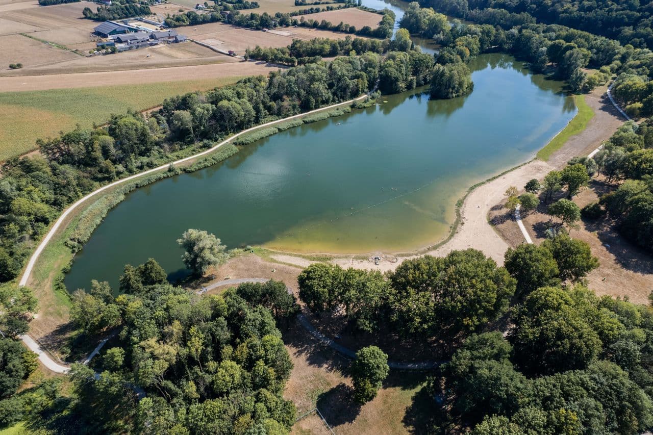 Wylerbergmeer: stranden en heuvelzicht voor je hond