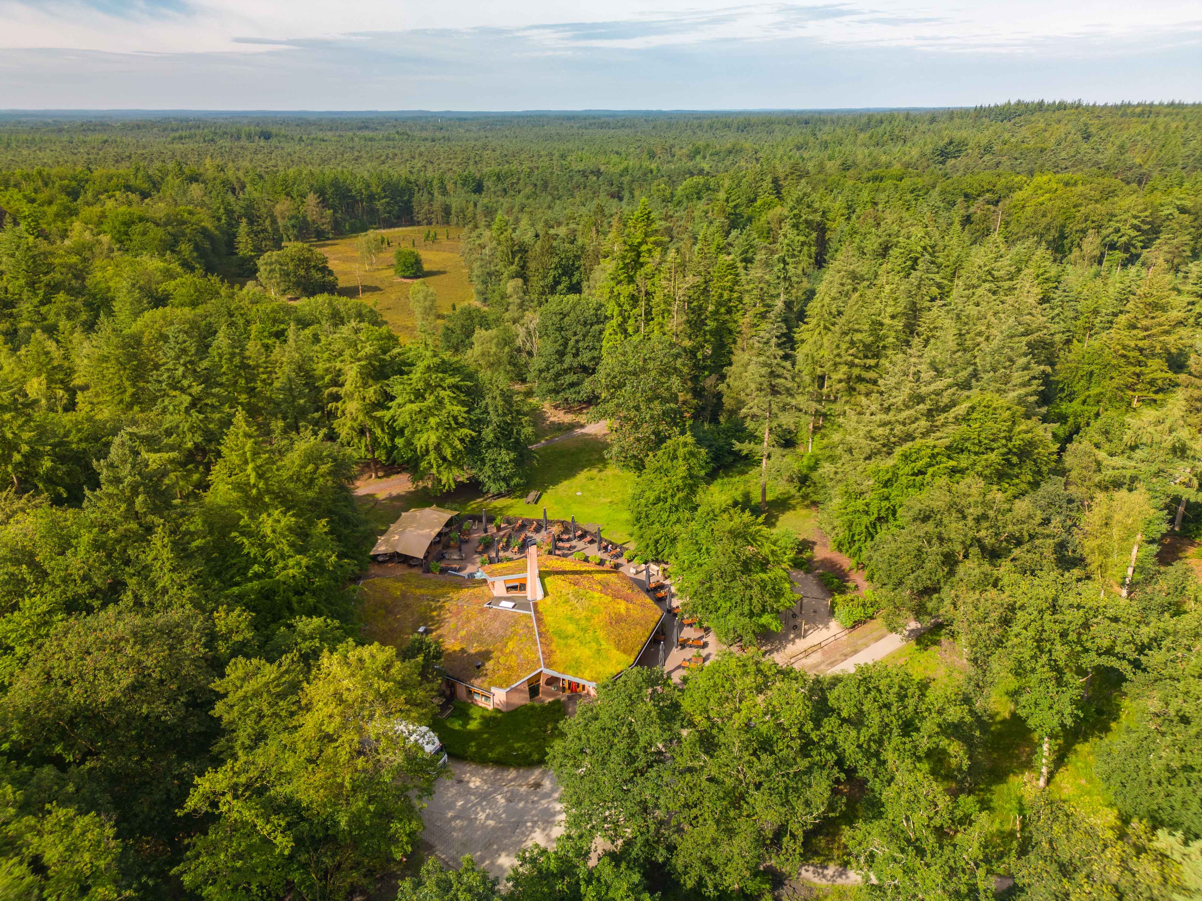 Pannenkoeken in het bos bij De Ossenstal