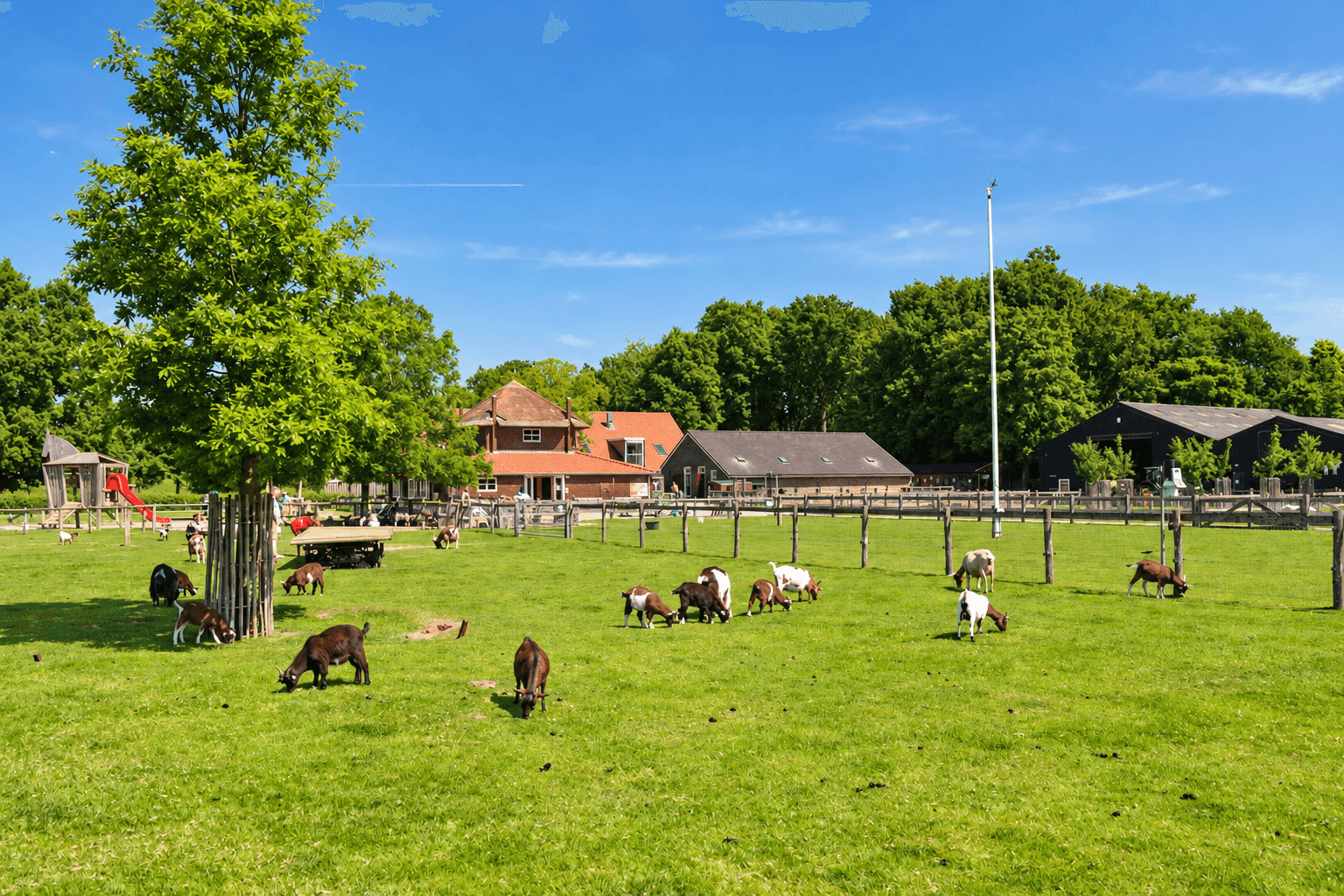 Zeldzame boerderijdieren ontdekken bij Stadsboerderij Presikhaaf