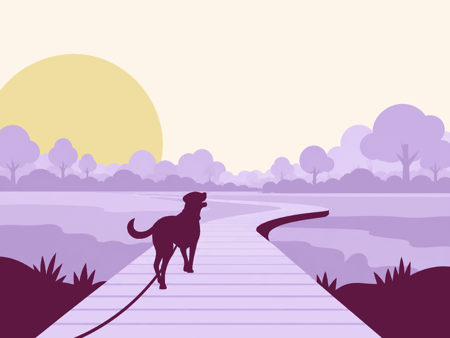 Vlonderpaden met je hond: 16 routes per provincie waar je hond welkom is