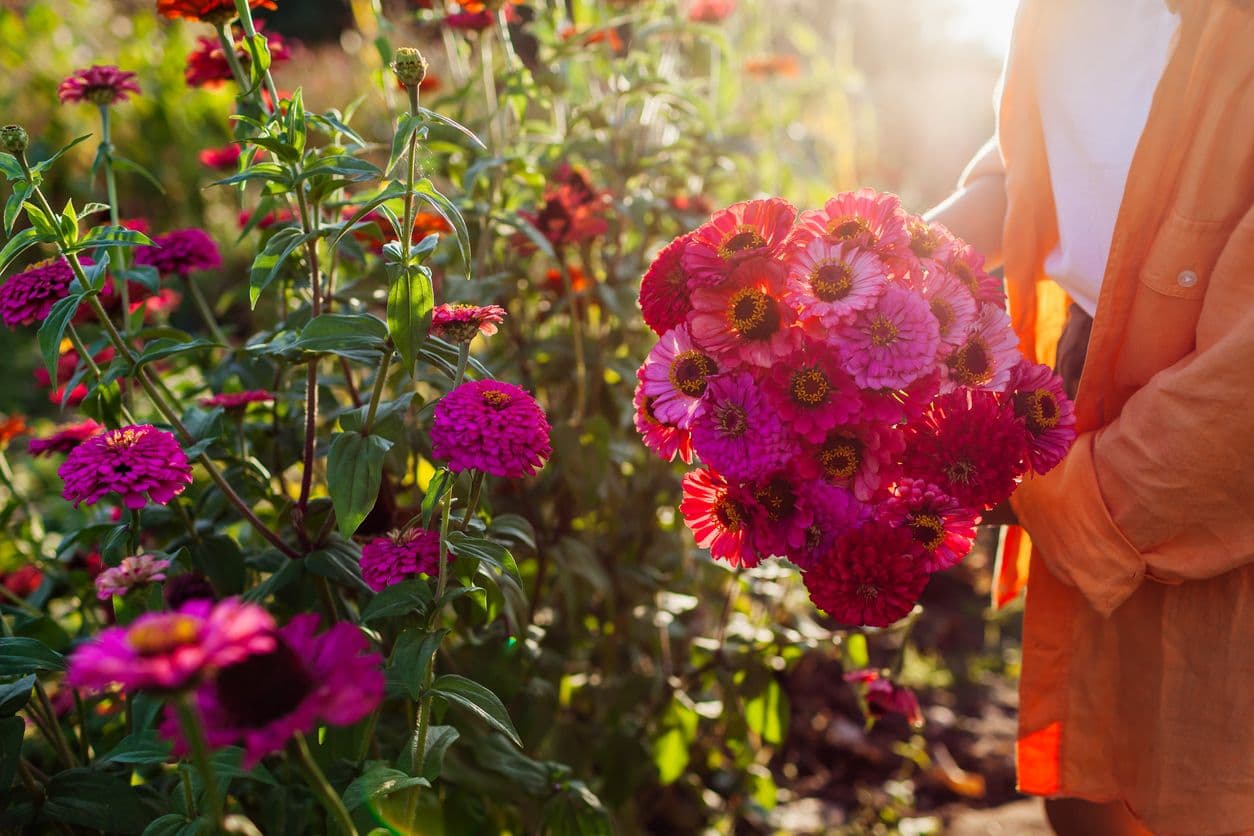 Bloemen plukken en ontspannen bij Pluck Elke Dag