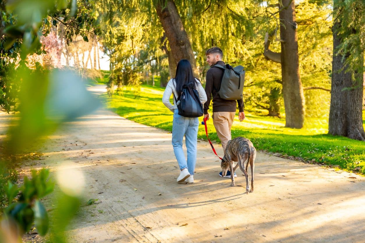 Wat neem je mee tijdens een dagje uit met je hond?