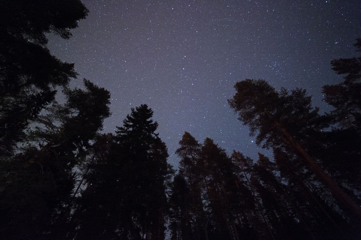 Sterren wandelen met je hond op het Dark Sky Pad