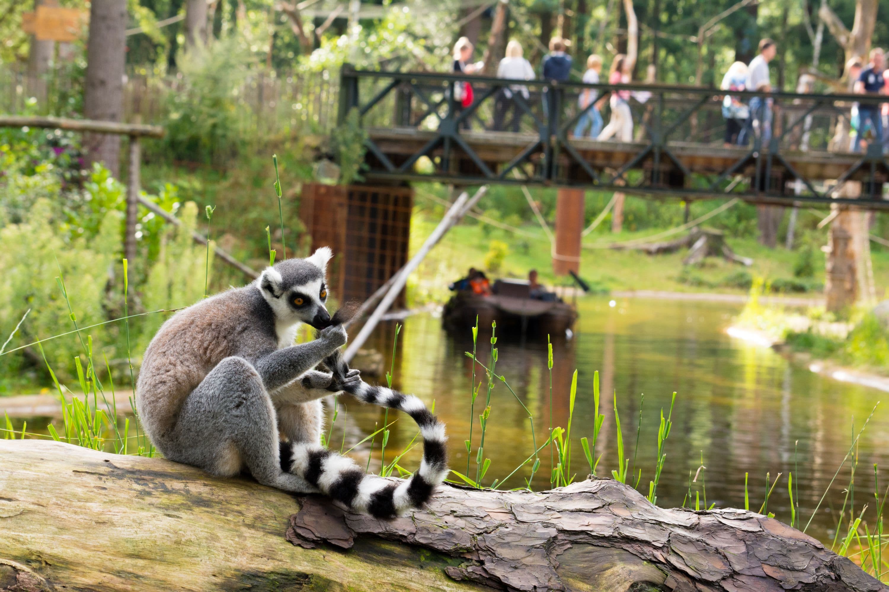 Dierenpark Amersfoort