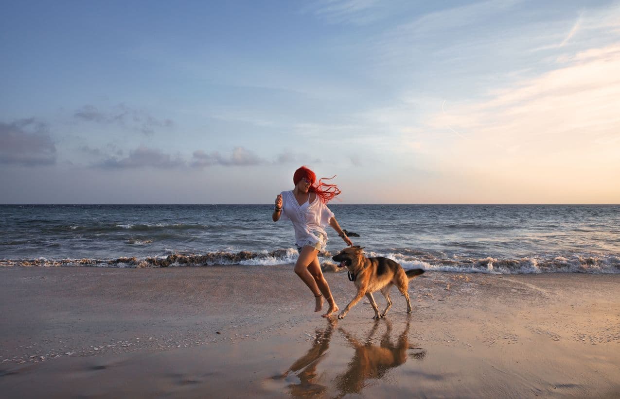 Een stranddag met hond zonder gedoe begint bij de juiste plek