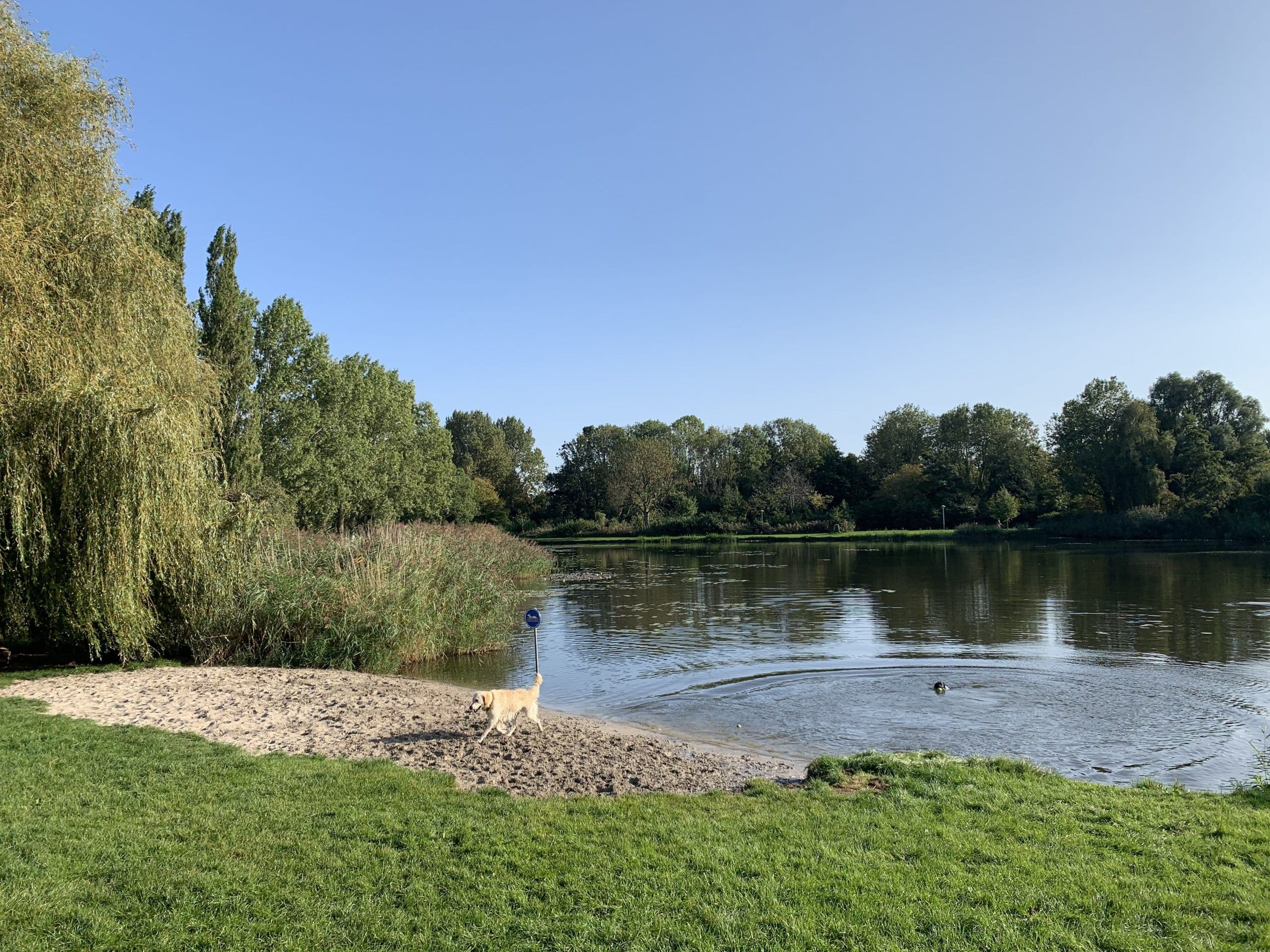 Bultpark & hondenstrand