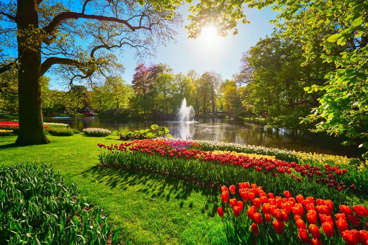 Keukenhof 2027 met je hond