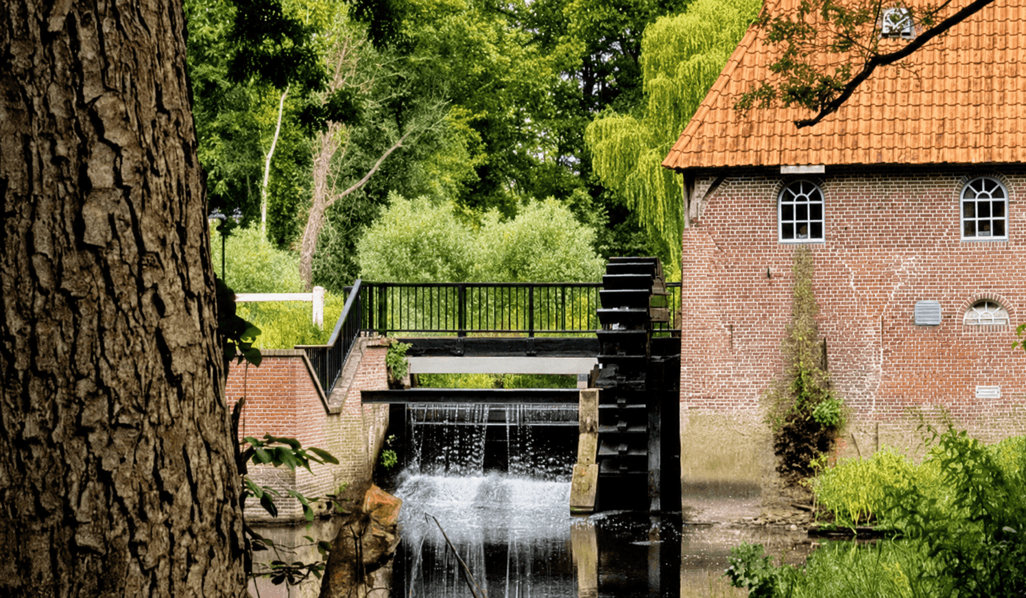 Berenschot’s Watermolen – wandelen en lunchen met je hond