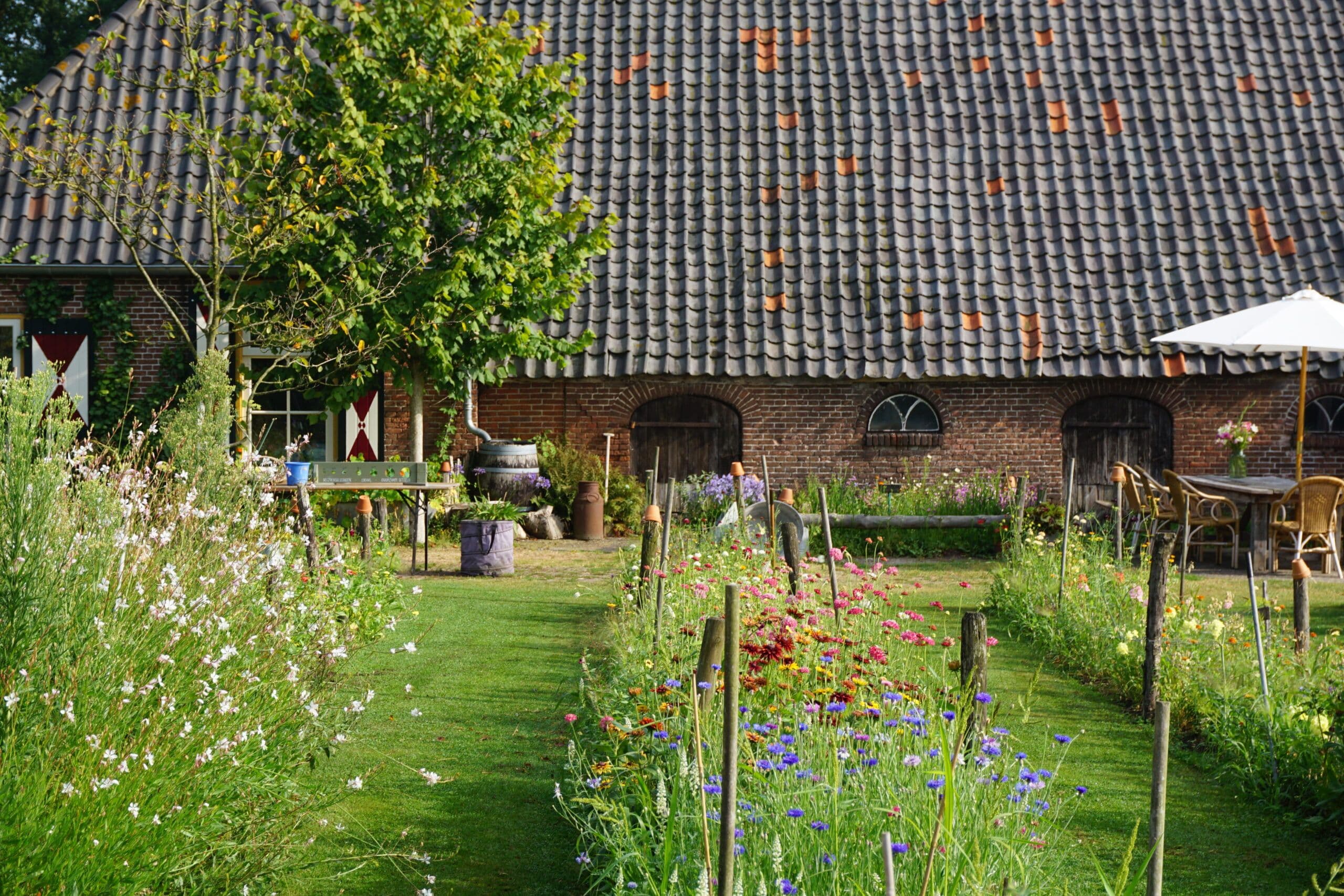 Bloemen plukken bij Pluktuin Stoutenburg