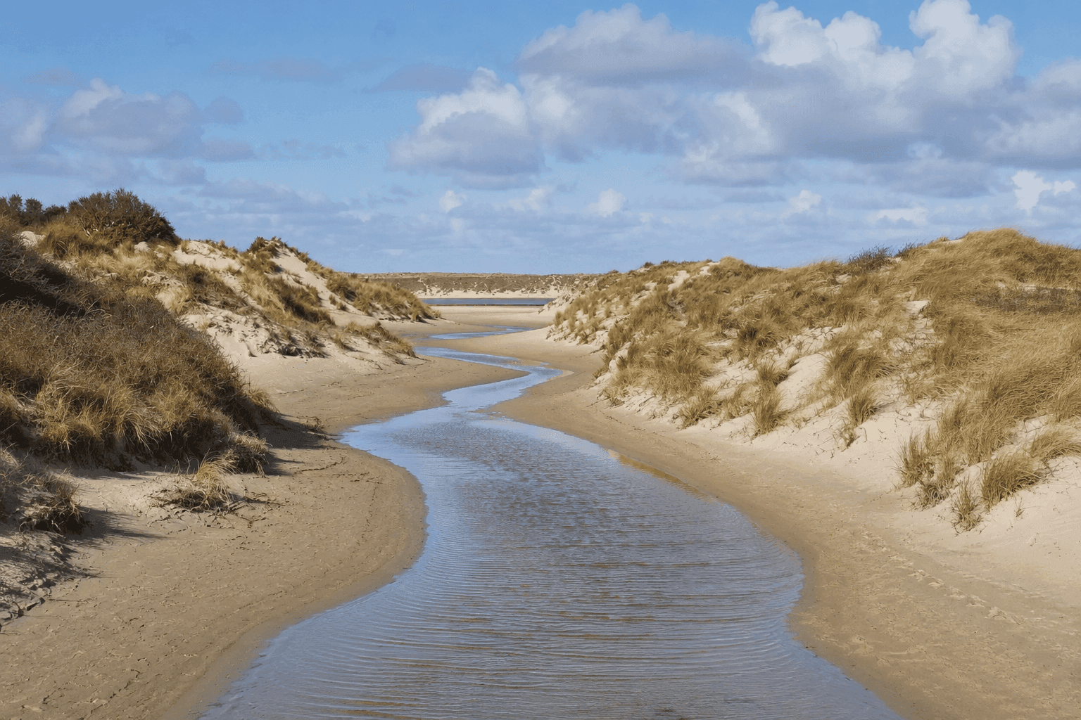 Wandelen tussen zee en kwelders in De Slufter