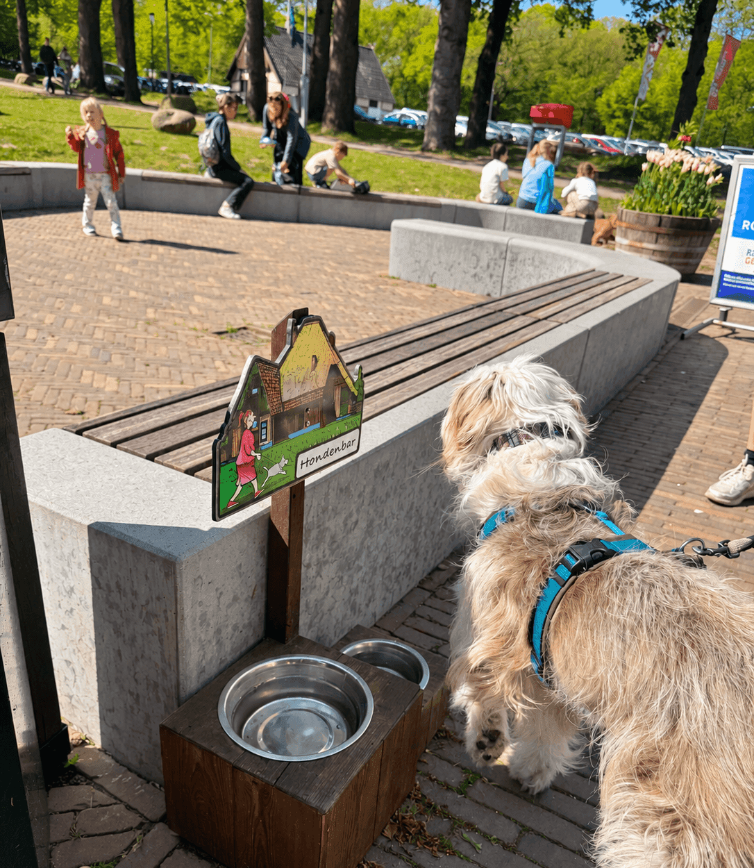 Met je hond naar het museum: ruim 25 musea waar je hond welkom is